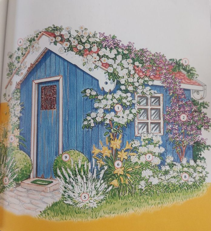 Old Garden shed transformation